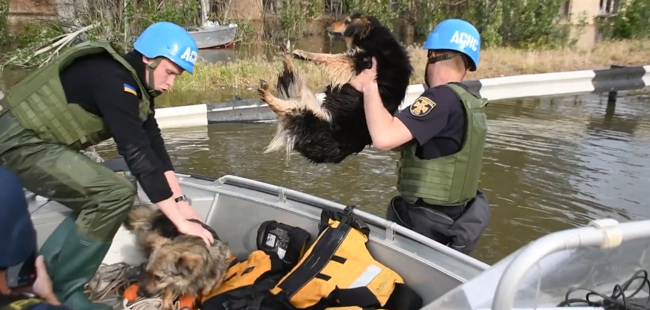 photo_2025-11-05_01-28-56.jpg (162 KB)