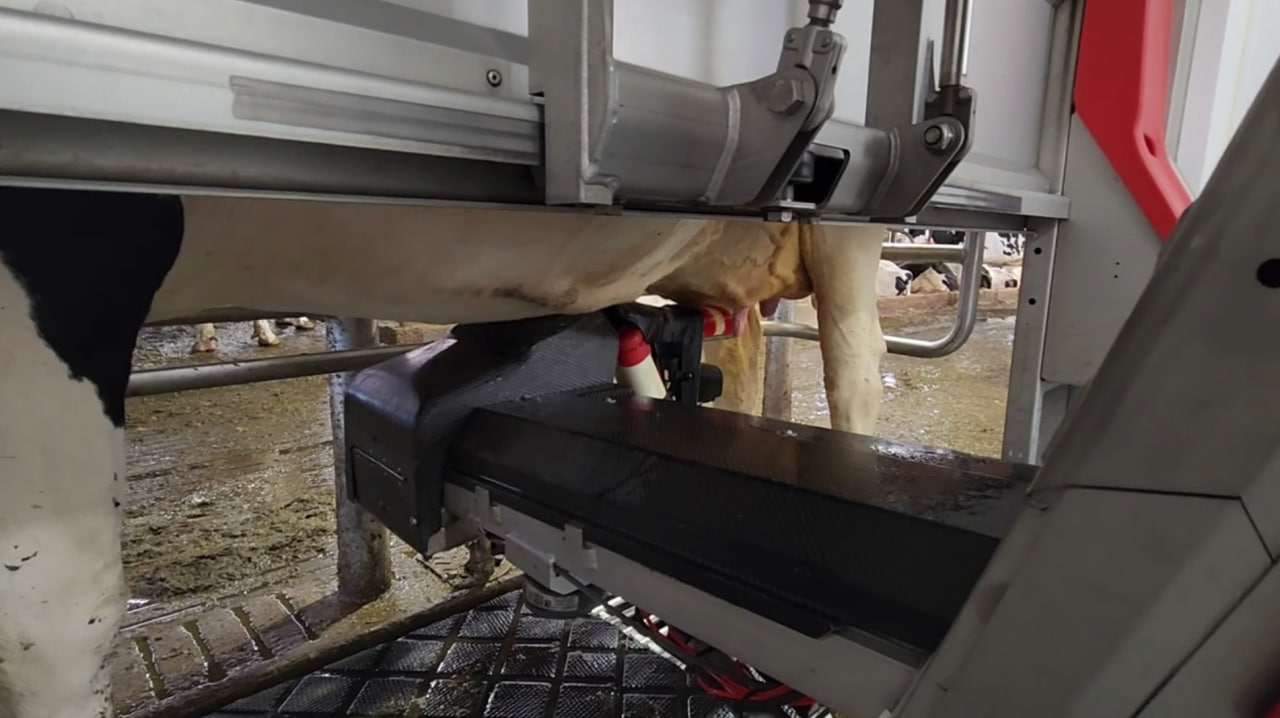 photo_2025-11-11_13-31-51.jpg (120 KB)